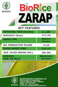 Biorice Zarap - Bioseed Research Philippines Inc.
